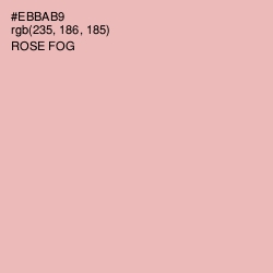 #EBBAB9 - Rose Fog Color Image